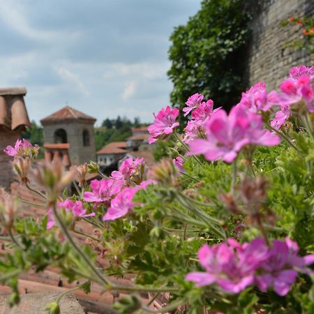 Dimora Storico Romantica Il Sole E La Luna Cerretto Langhe Esterno foto
