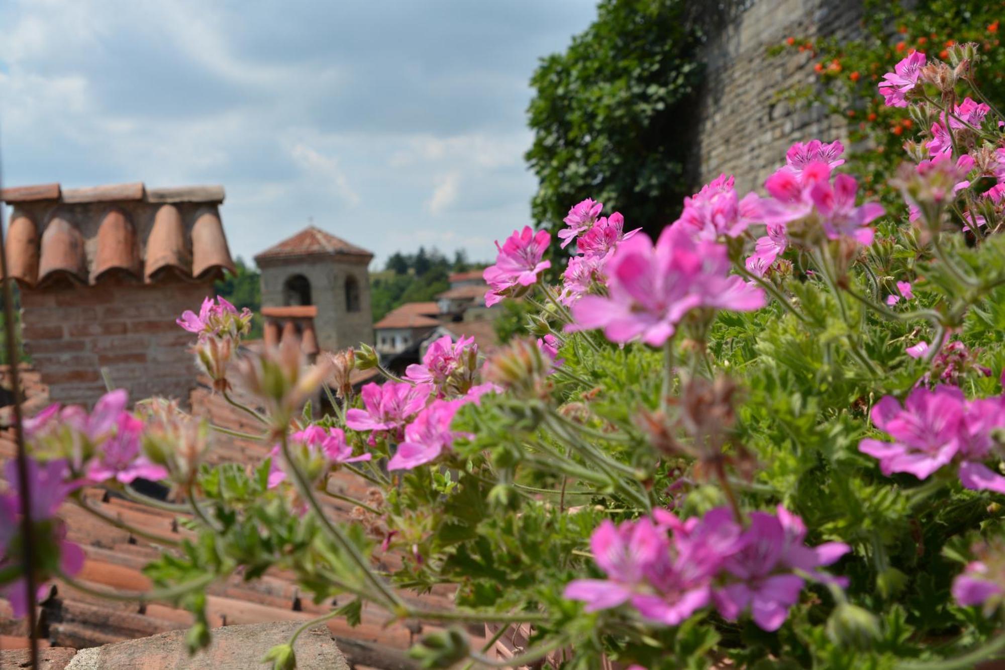 Dimora Storico Romantica Il Sole E La Luna Cerretto Langhe Esterno foto